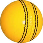 Cricket Hard Ball